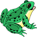 frog