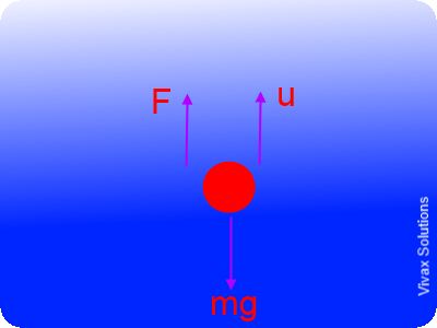 terminal velocity in a fluid